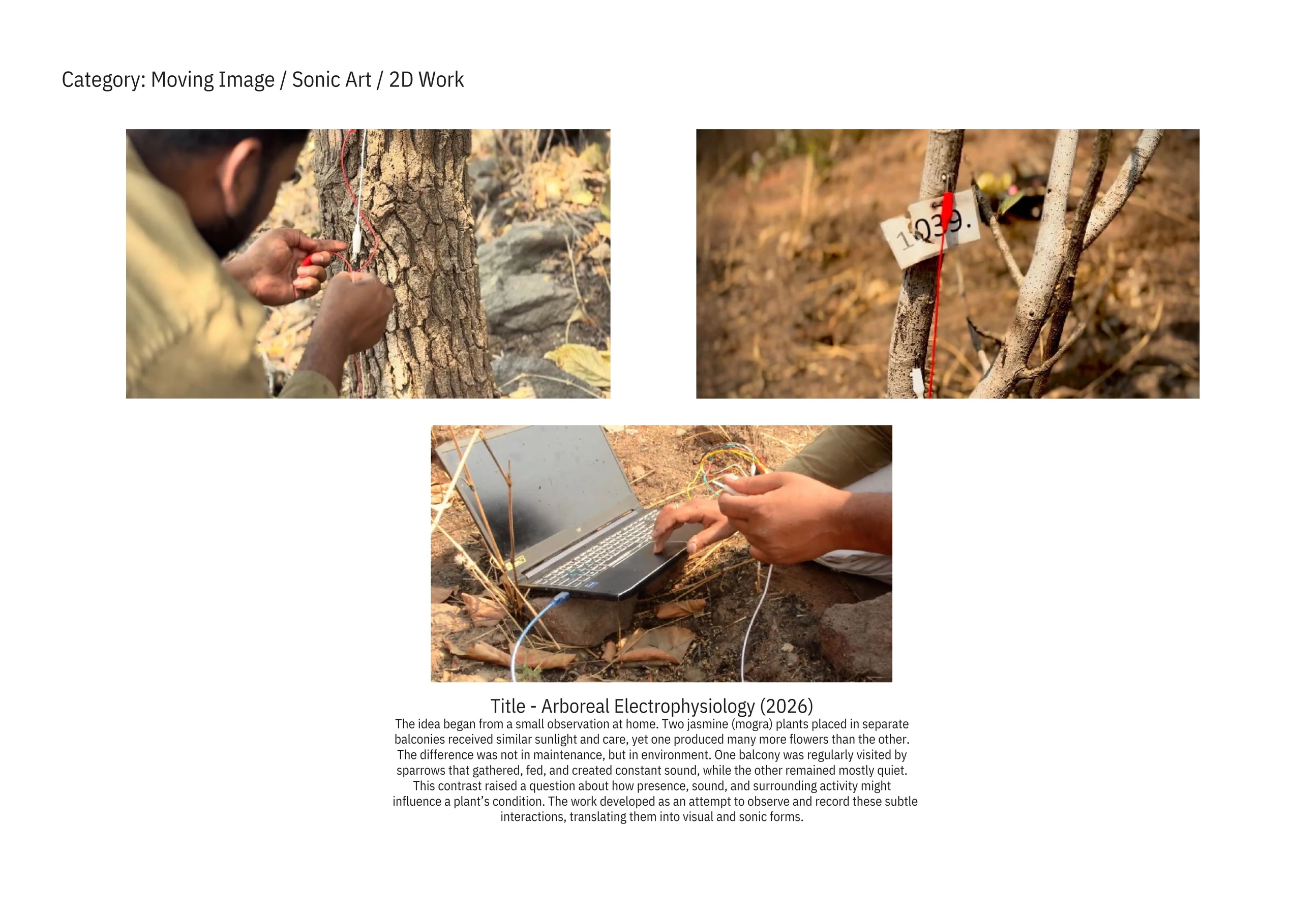 Arboreal Electrophysiology, 2026, artwork by Anand Shatrughna Pratap