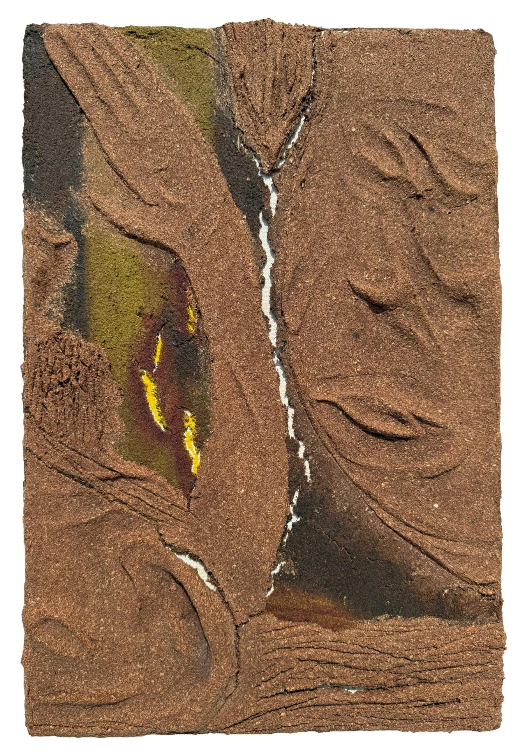 Soil, Body, Resistance – 2, 2026, artwork by Anand Shatrughna Pratap