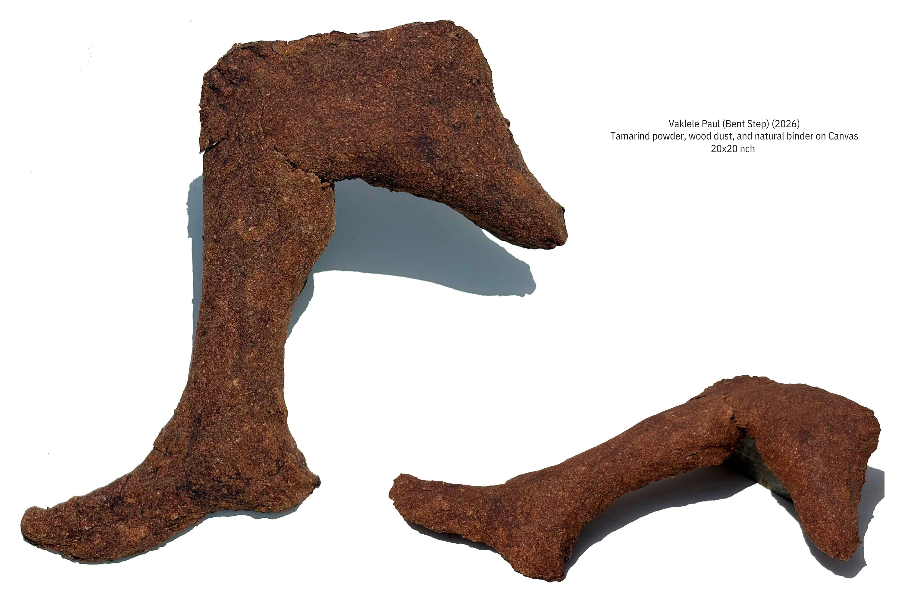 Vaklele Paul (Bent Step), 2026, artwork by Anand Shatrughna Pratap