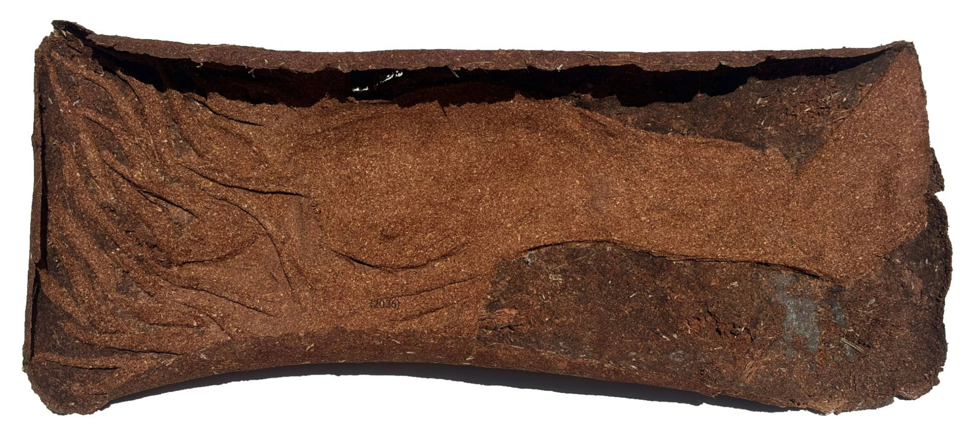 Worn Body, 2026, artwork by Anand Shatrughna Pratap
